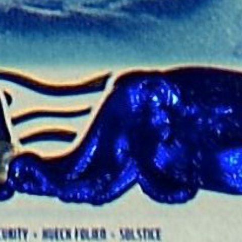 Close-up of the foil stripe: the cuttlefish motif in deep metallic blue