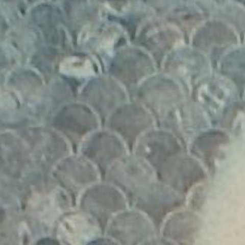 The fish-scale pattern of the offset background